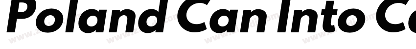 Poland Can Into Car字体转换